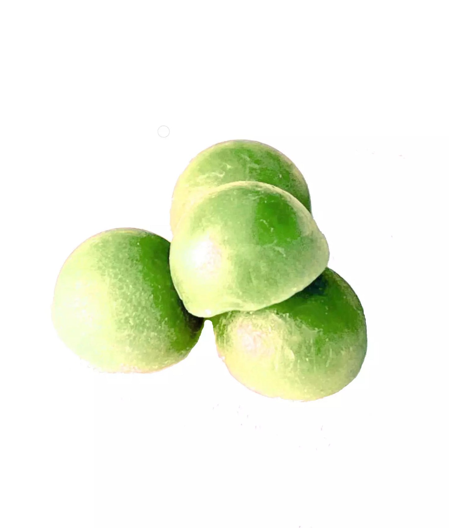 Pastilles CBD 5 % – Cactus/Citron
