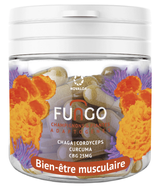 Gélules CBG – Bien être musculaire – Fungo – Champignons et plante adaptogènes