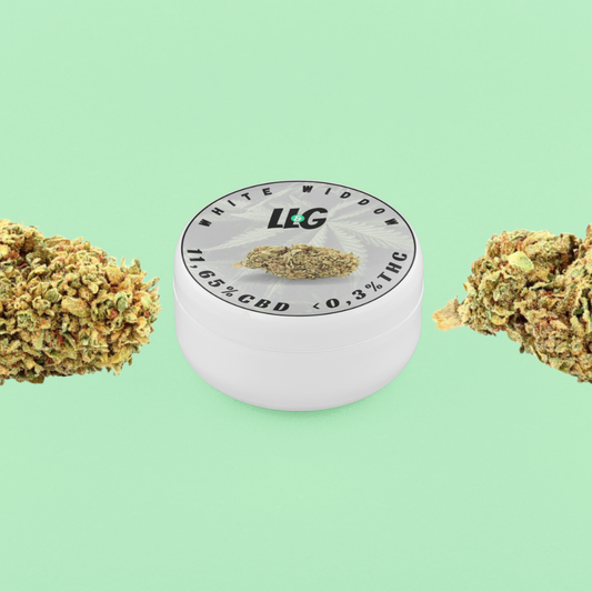 White widow🕷️🕸️