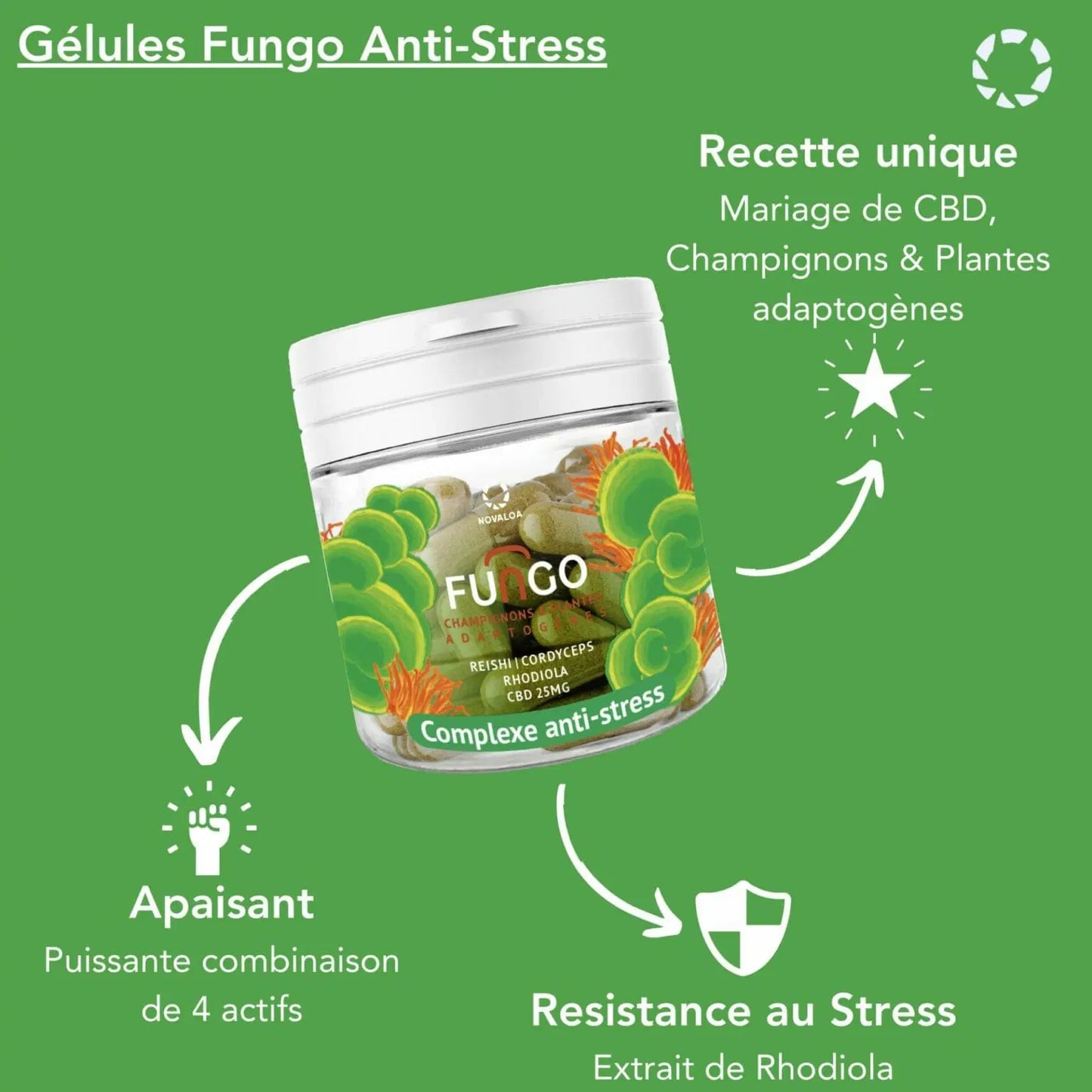 Gélules CBD – Complexe Antistress – Fungo – Champignons et plantes adaptogènes