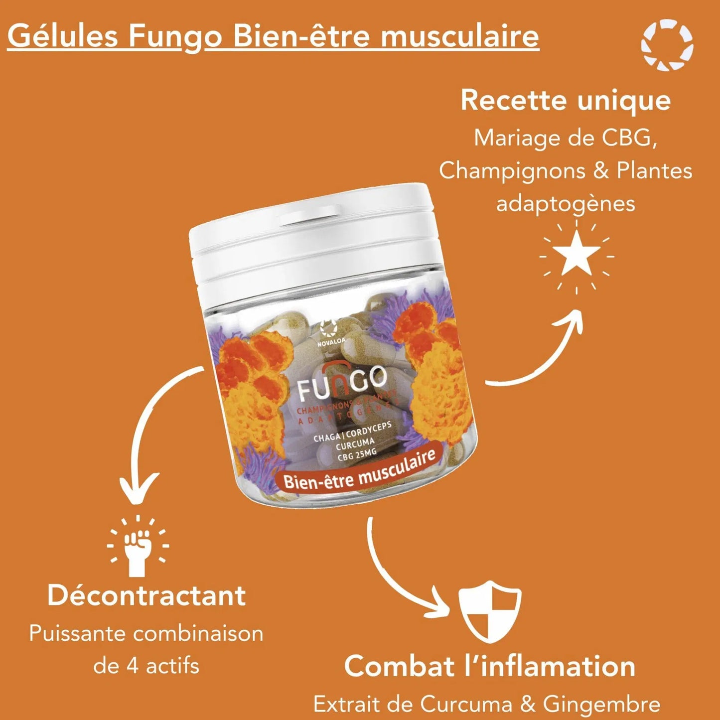Gélules CBG – Bien être musculaire – Fungo – Champignons et plante adaptogènes
