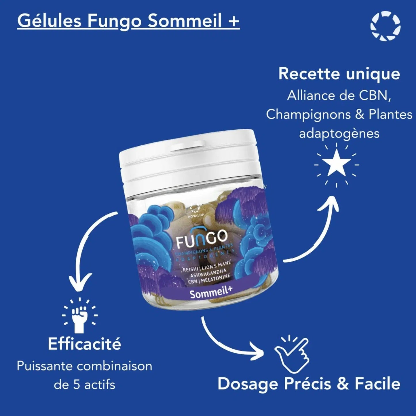 Gélules CBN – Sommeil+ – Fungo – Champignons et mélatonine