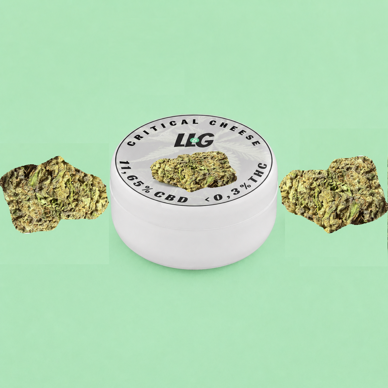 Critical Cheese🧀