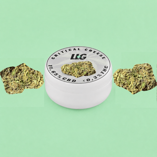 Critical Cheese🧀